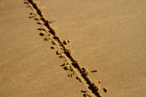 Line in Sand